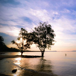 秒发卡平台的平台在线ddos压力测试